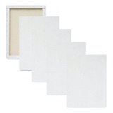 Kit 5 Tela Branca 24x30 Tinta Oleo Acrílica Quadro Moldura