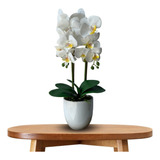 Kit 5 Unidades De Orquídeas Brancas Artificiais Com Vaso