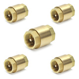 Kit 5 Válvula Retenção Vertical 3 4 Rosca Água Tubo Oferta