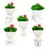 Kit 5 Vasinhos Decorativo Robert Plant Bob Para Suculentas Cor Branco