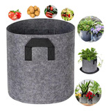 Kit 5 Vaso De