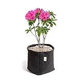 Kit 5 Vasos De Feltro 7 Litros KingPot Preto