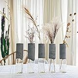Kit 5 Vasos De Vidro E Cimento Decorativo Para Centro De Mesa Escritório Lavabo Formato Cilíndrico Para Flores Secas Plantas Aquaticas