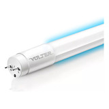 Bivolt