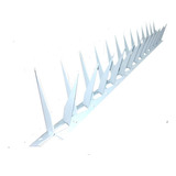 Branco