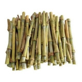 Kit 500 Mudas Capim Açu Embrapa