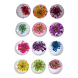 Kit 5cx Flores Secas Encapsulamento Unhas Decoração