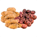 Kit 5kg Batata Inglesa E Asterix Escovada Selecionada Saco