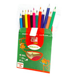 Kit 6 Caixas De Lápis De Cor 12 Cores Pequeno 9cm Sextavado