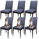 Kit 6 Capas De Cadeira Jantar Em Suede Resistente à Gatos Cinza Chumbo 