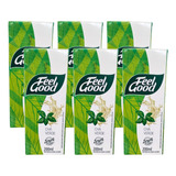 Kit 6 Chá Gelado Feel Good Verde C Limão 200ml