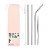 Kit 6 Em 1 4 Canudos De Inox Escova Ecobag Planet B Shake 8mm 