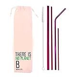 Kit 6 Em 1 4 Canudos De Inox Escova Ecobag Shake 8mm Roxo Planet B