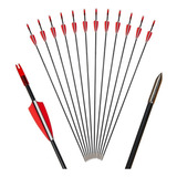 Kit 6 Flechas 80cm 6mm Fibra D Vidro Arco Composto E Recurvo