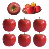 Kit 6 Maçãs Vermelha Fruta Artificial Decoração Realista 8cm