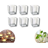Kit 6 Mini Vasos
