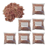 Kit 6 Musgos Sphagnum 5 Litros Substrato P Plantas Orquídea