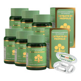 Kit 6 Propolis Verde