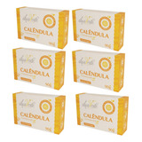 Kit 6 Sabonetes Em Barra Fisioterápico De Calêndula 90g