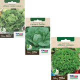 Kit 6 Sementes De Alface 3 Variedades Crespa romana E Ameri