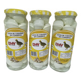 Kit 6 Unidades Dmv