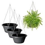 Kit 6 Vaso Cuia Nobre De Plástico Completo 01 Preto Nutriplan Com Prato E Corrente Decorativo Para Plantas Pendentes - Samambaia Avenca Jiboia