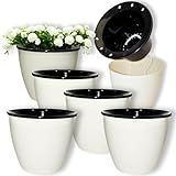 Kit 6 Vasos Autoirrigáveis 9cm Plástico Plantas Pequenas Irrigação Automática Cachepot Mantém Molhado Ou Úmido Premium 6 