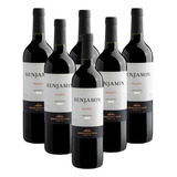 Kit 6 Vinhos Benjamim Nieto Senetiner Malbec Argentino 750ml