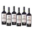 Kit 6 Vinhos Finos Tinto Seco Tannat Nonno Laurindo Di Tre