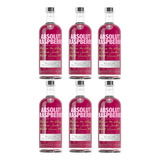 Kit 6 Vodka Absolut
