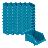 Organizadora