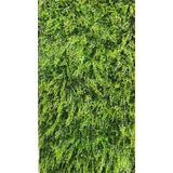 Kit 8 Placas Plantas Jardim Vertical Decorativa Proteção Uv
