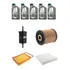 Kit Óleo Selenia 5w30 Para Fiat Palio Weekend 1.6 1.8 2012 A