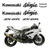 Kit Adesivo Compatível Kawasaki Ninja Zx-6r 2009/2011 Branca