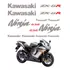 Kit Adesivos Compatível Kawasaki Ninja Zx-6r 2006 Titanium