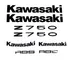 Kit Adesivos Laterais Preto Kawasaki Z750 S Para Moto Verde