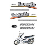 Kit Adesivos Web Evo