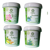Kit Adubo Fertilizante Rosas cactos suculentas Viridius 400g