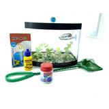 Kit Aquario Curvo C Planta Vision Ração Folha Beta Rede