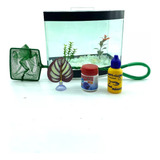 Kit Aquário Curvo Duplo Divisória Invisível P Peixes Beteira