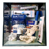 Kit Aquário Marinho Para Anêmonas E Peixes 36l Branco 220v