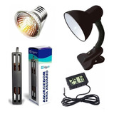Kit Aquecedor Aquaterrario Lâmpada Uva Uvb E Termômetro Dig