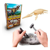 Kit Arqueologia Dinossauro Dino Fóssil Escavação