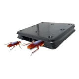Kit Baygon Isca Mata Baratas 12 Iscas Com 2 6g Inseticida