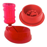 Kit Bebedouro Não Molha Pelo Comedouro Lento Regime Pet