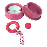 Kit Bebedouro Pelos Longos Comedouro Cachorro Brinquedos