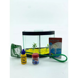 Kit Beteira Curva Dupla Para Peixes Betas 3l Aquário brinde