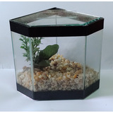 Kit Beteira Vision 1 Curva Decorada C Cascalho planta Artif
