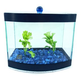 Kit Beteira Vision 2 Curva Decorada Planta Artif Folha Beta