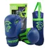 Kit Boxe Infantil Pretorian: Saco De Pancadas E Luvas 6oz